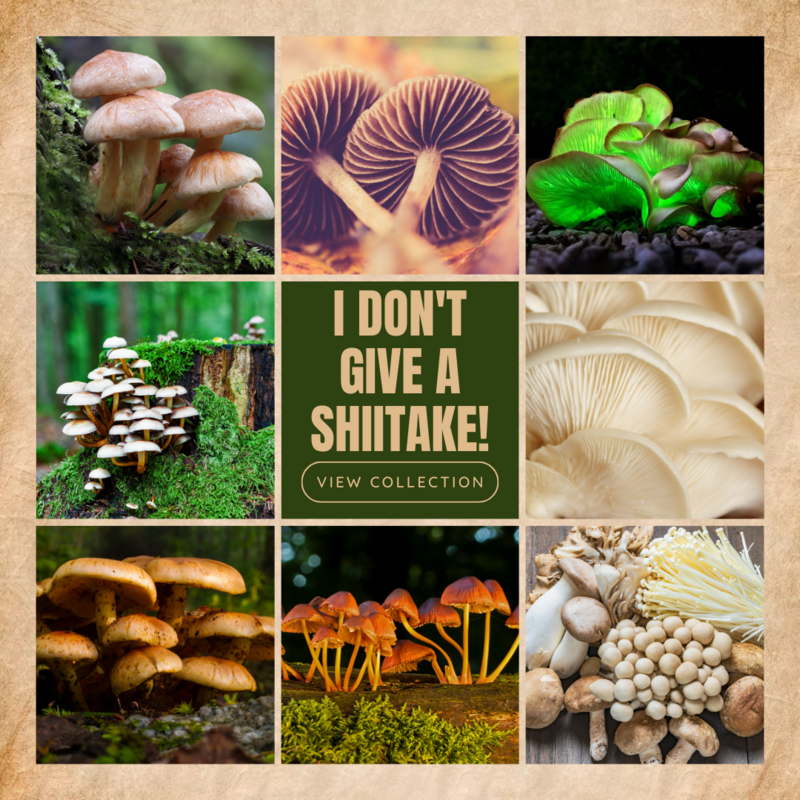 Mushrooms
