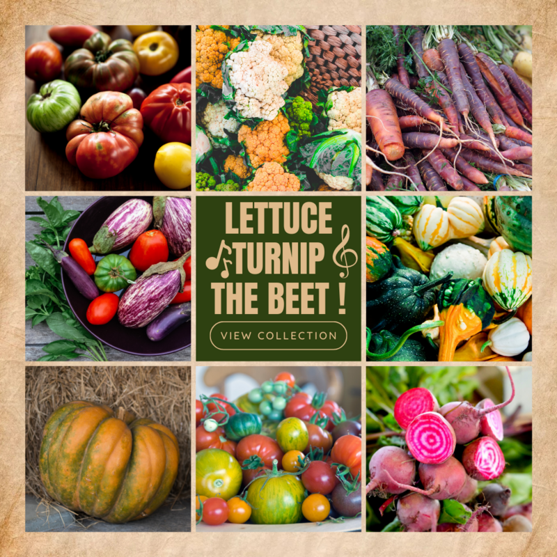 Heirloom Vegetables and Rare Finds