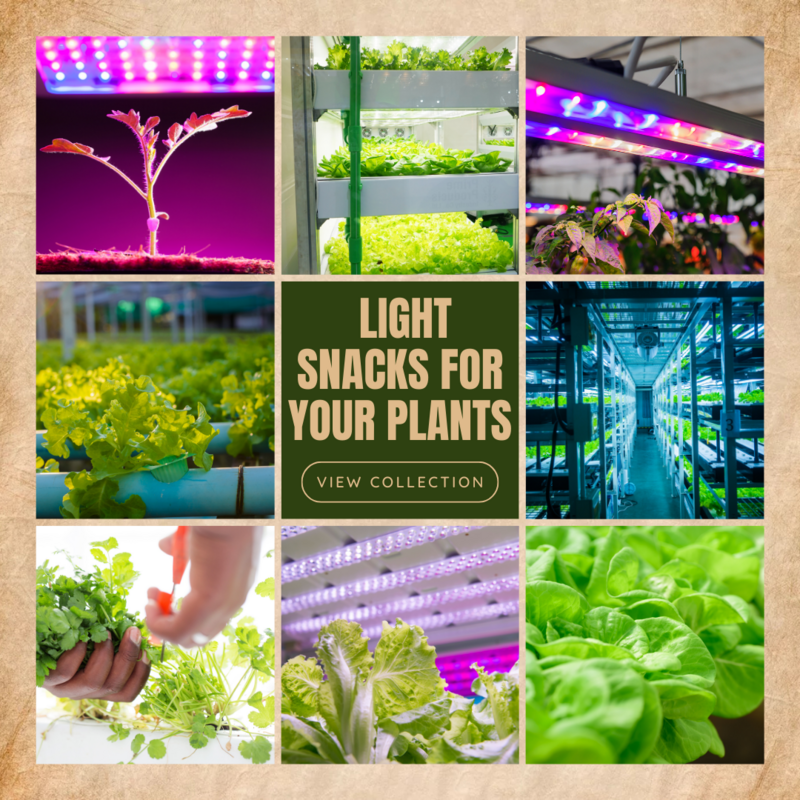 Hydroponic Lighting Supply
