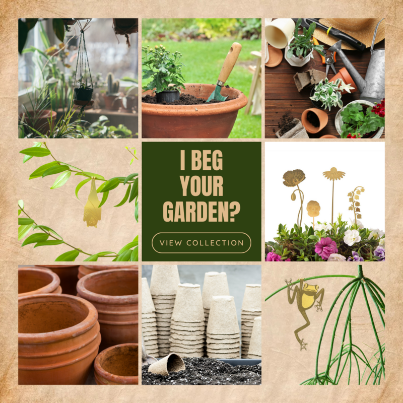 Plant and Terrarium Accessories