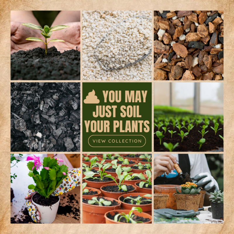 Premium Dedicated Soil and Additives