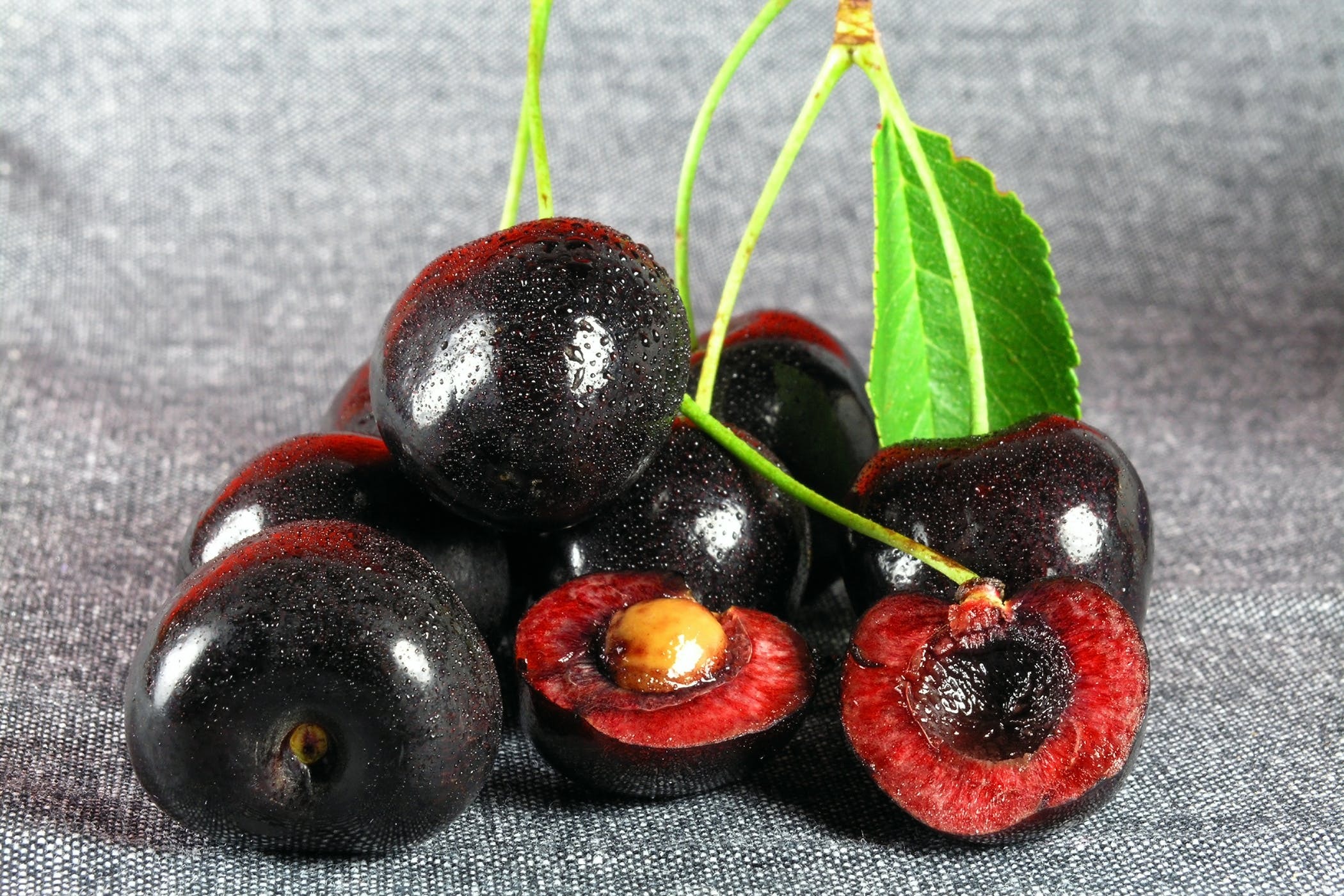 Prunus serotina