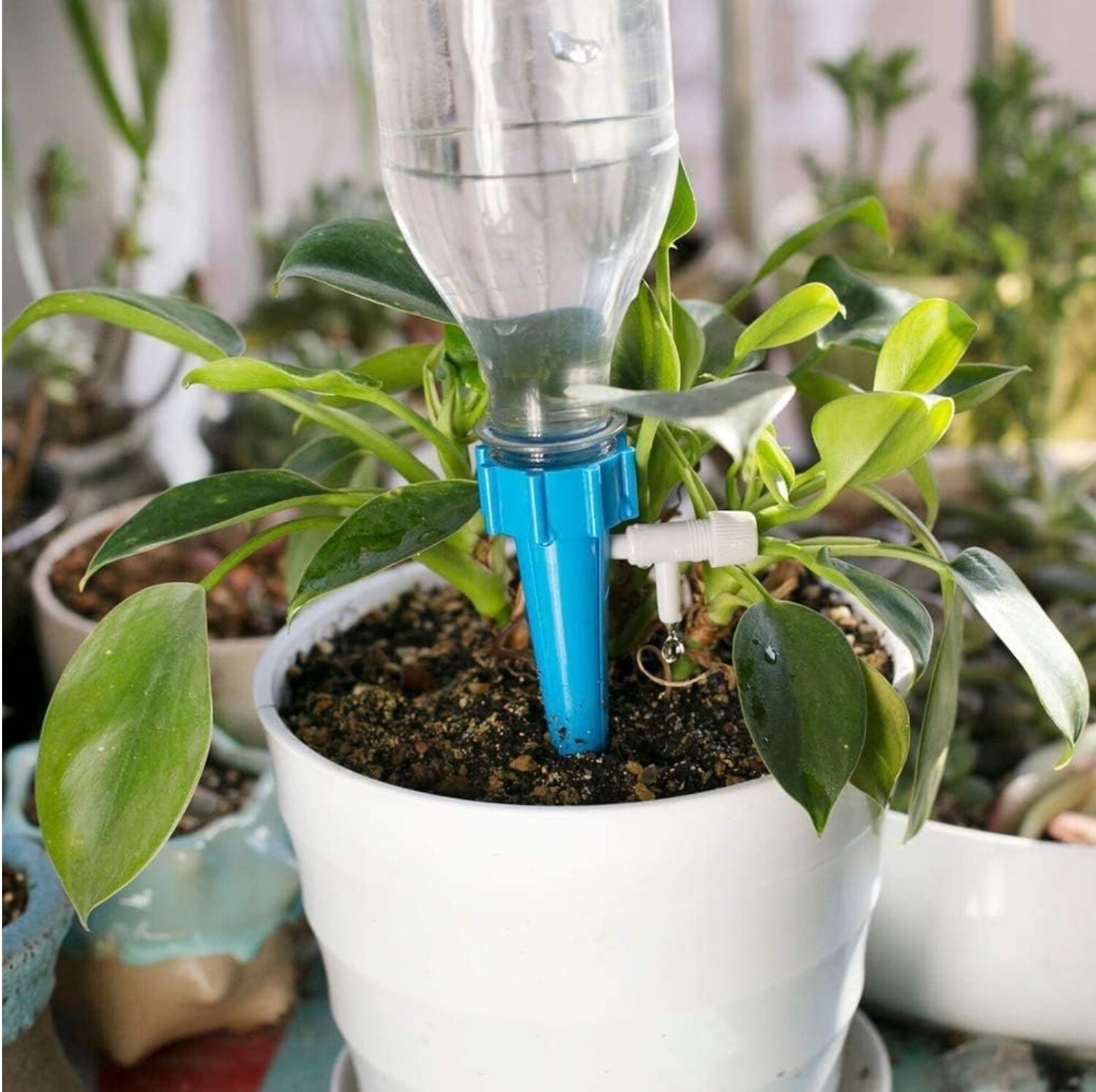 Adjustable Self Watering Spikes with Slow Release Control Valve