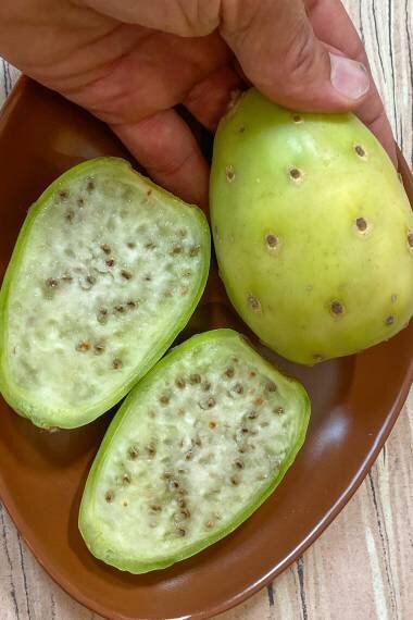 This is Opuntia ficus-indica &#39;Torreón Green&#39;. The common name for this is Green Goblin Prickly Pear. Whimsy and Wonder Seeds sells the freshest of rare fruit seeds. Other Common names for this exotic fruit species are: Green Goblin Prickly Pear, Prickly Pear Cactus, Prickly Pear, Nopal Cactus, Indian Fig Opuntia, Torreón Green Cactus. Check this Green Goblin Prickly Pear (Opuntia ficus-indica &#39;Torreón Green&#39; ) out along with all of our other Rare  and Exotic Fruit plant seeds here at Whimsy and Wonder Seeds. We ship these exotic fruit plants seeds  from Canada to anywhere in the World.