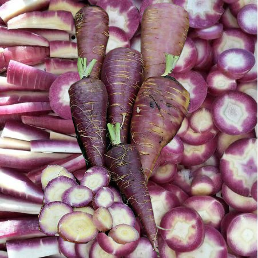 This is Daucus carota. The common name for this is Gniff Carrot. Whimsy and Wonder Seeds sells the freshest of heirloom seeds, vegetable seeds and rare garden seeds. Check this Gniff Carrot (Daucus carota) out along with all of our Heirloom vegetables and rare garden plant seeds here at Whimsy and Wonder Seeds. We ship these garden seeds from Canada to anywhere in the World.