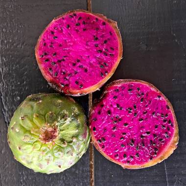 Stenocereus stellatus 'Rosa Mexicano'