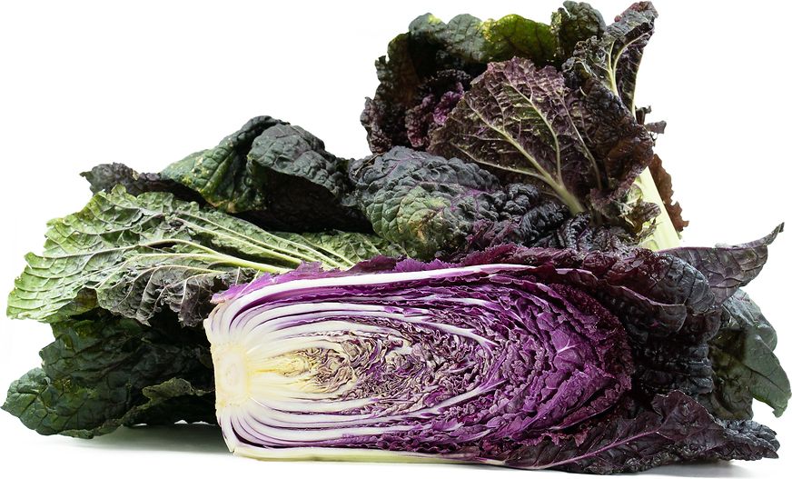 This is Brassica rapa var. pekinensis. The common name for this is Red Trumpet Nappa Cabbage. Whimsy and Wonder Seeds sells the freshest of heirloom seeds, vegetable seeds and rare garden seeds. Check Red Trumpet Nappa Cabbage (Brassica rapa var. pekinensis) out along with all of our Heirloom vegetables and rare garden plant seeds here at Whimsy and Wonder Seeds. We ship these garden seeds from Canada to anywhere in the World.