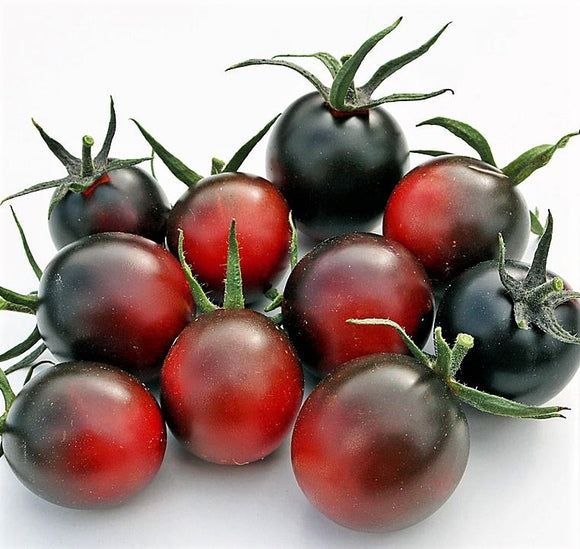 This is Solanum lycopersicum. The common name for this is Dancing with Smurfs Tomato. Whimsy and Wonder Seeds sells the freshest of heirloom seeds, vegetable seeds and rare garden seeds. Check Dancing with Smurfs Tomato (Solanum lycopersicum) out along with all of our Heirloom vegetables and rare garden plant seeds here at Whimsy and Wonder Seeds. We ship these garden seeds from Canada to anywhere in the World.

