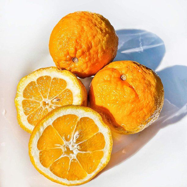 This is Citrus X aurantium. The common name for this is Bitter Orange / Seville Orange. Whimsy and Wonder Seeds sells the freshest of rare fruit seeds. Other Common names for this exotic fruit species are: Bitter Orange,Seville Orange, Sour Orange, Bigarade Orange, Neroli Orange, Wild Orange, Marmalade Orange, Citrus Aurantium, Bitter Sweet Orange. Check this Bitter Orange / Seville Orange (Citrus X aurantium) out along with all of our other Rare and Exotic Fruit plant seeds here at Whimsy and Wonder Seeds. We ship these exotic fruit plants seeds from Canada to anywhere in the World.