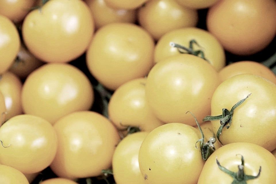 This is Solanum lycopersicum. The common name for this is White Cherry Tomato. Whimsy and Wonder Seeds sells the freshest of heirloom seeds, vegetable seeds and rare garden seeds. Check this White Cherry Tomato (Solanum lycopersicum) out along with all of our Heirloom vegetables and rare garden plant seeds here at Whimsy and Wonder Seeds. We ship these garden seeds from Canada to anywhere in the World.