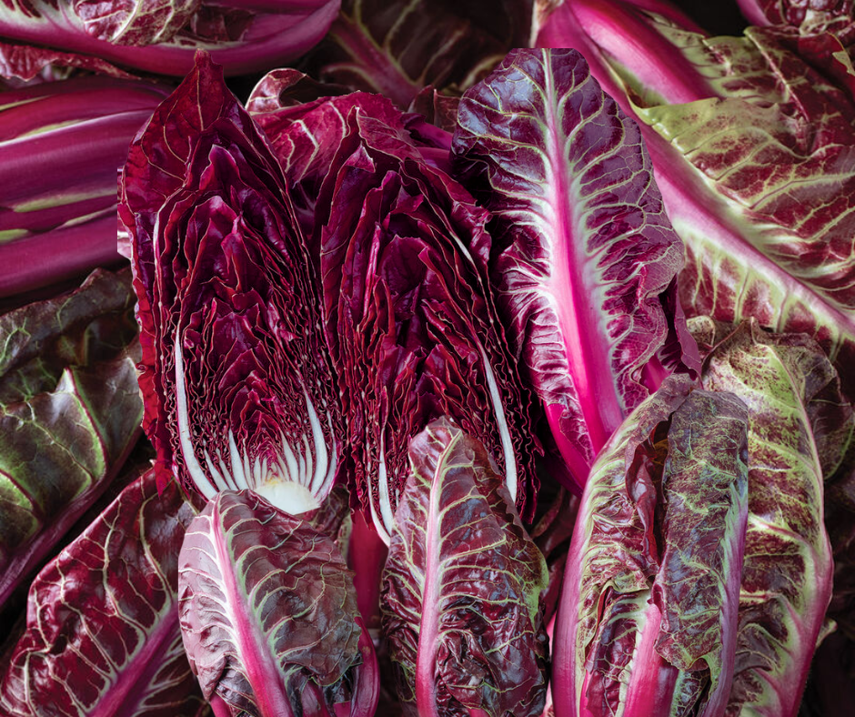 This is Lactuca sativa. The common name for this is Luna Rossa Radicchio. Whimsy and Wonder Seeds sells the freshest of heirloom seeds, vegetable seeds and rare garden seeds. Check this Luna Rossa Radicchio (Cichorium intybus) out along with all of our Heirloom vegetables and rare garden plant seeds here at Whimsy and Wonder Seeds. We ship these garden seeds from Canada to anywhere in the World.
