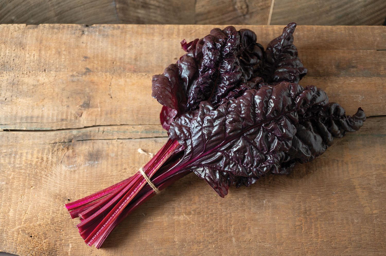 This is Beta vulgaris. The common name for this is Firebird Swiss Chard. Whimsy and Wonder Seeds se…