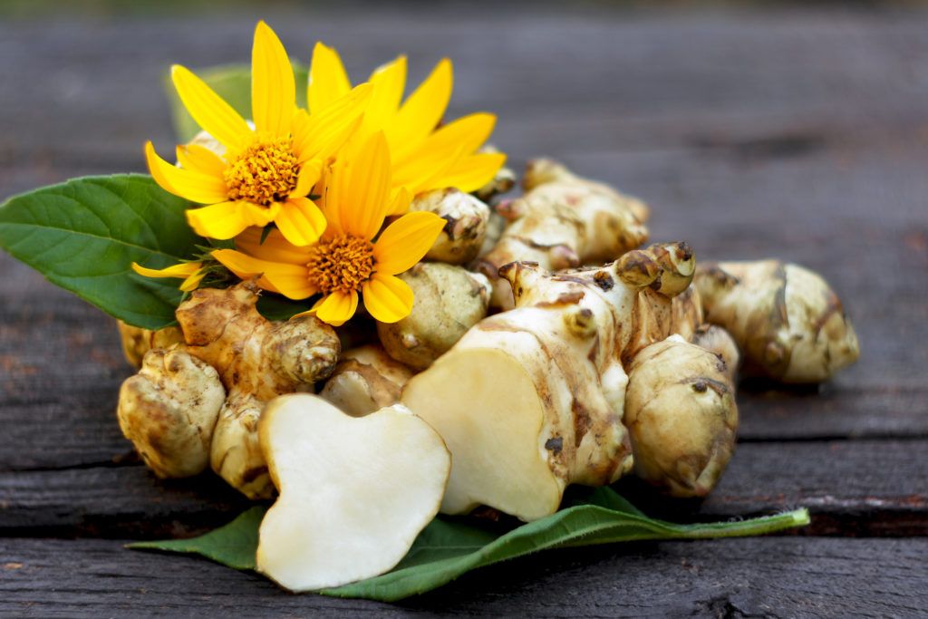 This is Helianthus tuberosus. The common name for this is Jerusalem Artichoke / Sunchoke. Whimsy an…