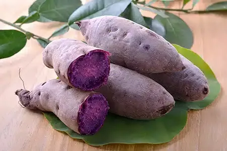 This is Dioscorea alata. The common name for this is Ube / Purple Winged Yam. Whimsy and Wonder See…