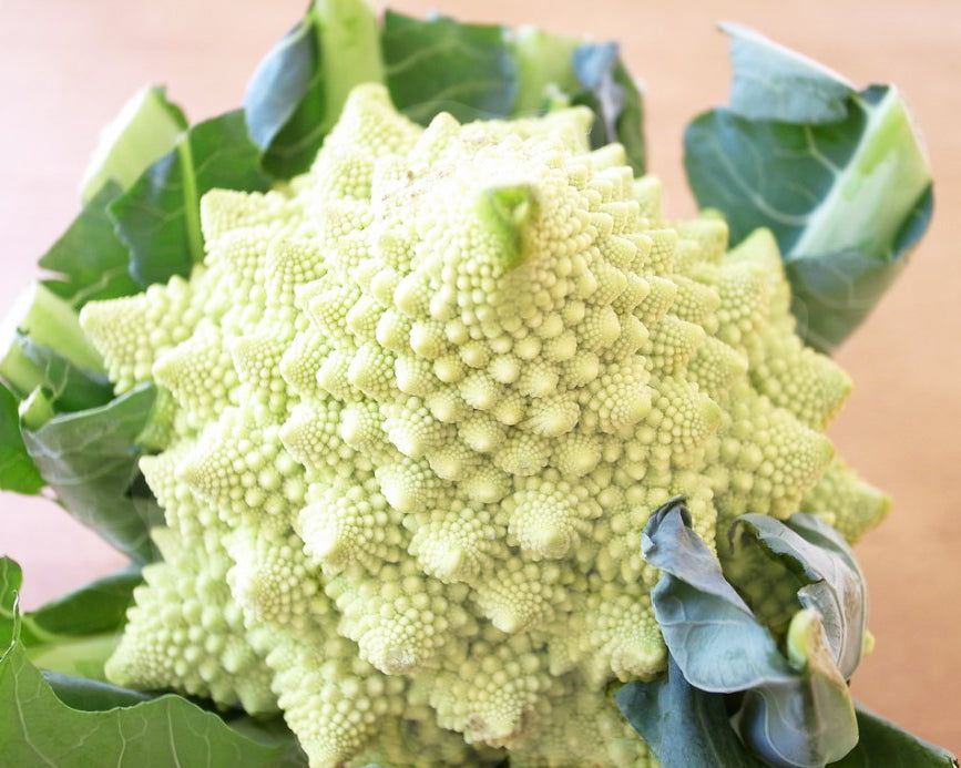 This is Brassica oleracea. The common name for this is White Romanesco / De Jesi Cauliflower. Whims…