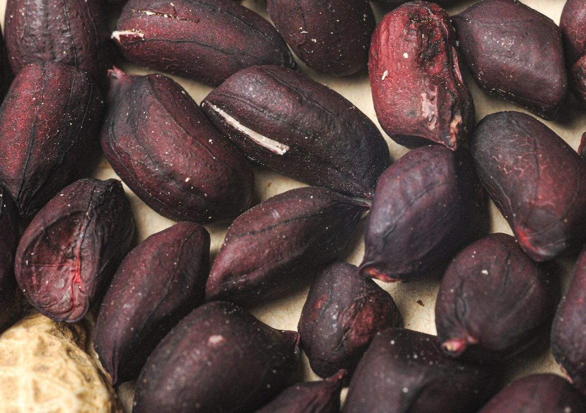 This is Arachis hypogaea. The common name for this is Ontario Black Peanut. Whimsy and Wonder Seeds…