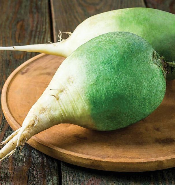 This is Raphanus sativus. The common name for this is Wasabi Radish. Whimsy and Wonder Seeds sells …