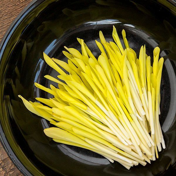 This is Zea mays. The common name for this is Popcorn Shoots. Whimsy and Wonder Seeds sells the fre…