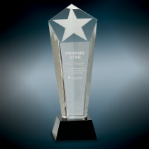 Crystal Frosted Star Column on Black Base