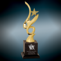 Gold Metal Star and Crystal Award