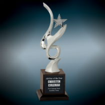 Silver Metal Star and Crystal Award