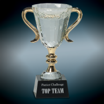 Crystal Cup with Gold Metal Handles