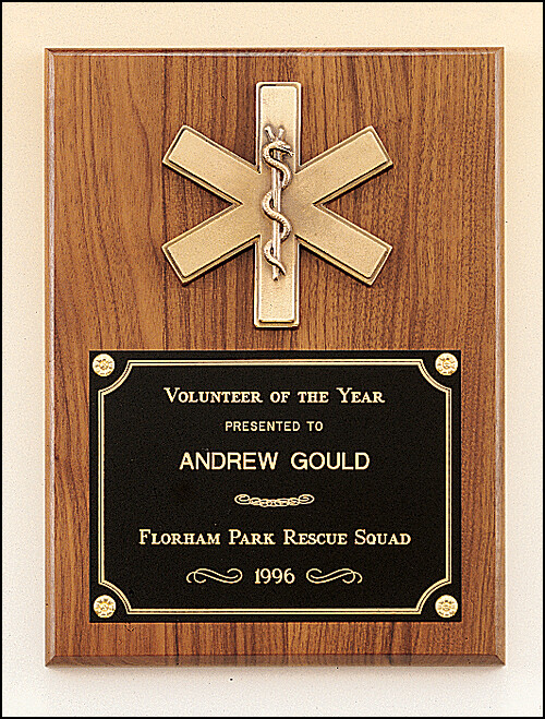 Emergency medical award with antique bronze finish casting