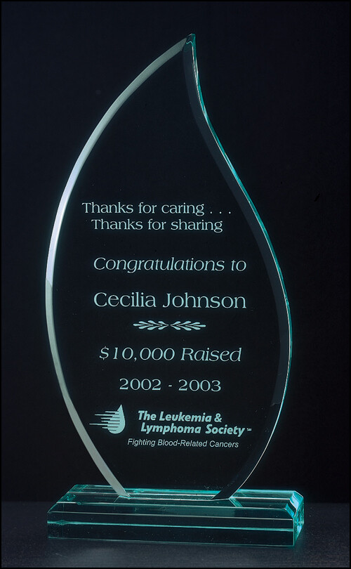 3/4&quot; thick acrylic award on acrylic base