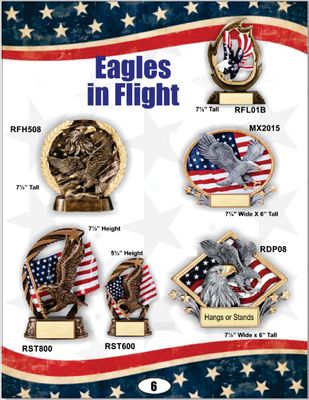 Eagles in Flight