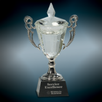 Crystal Cup with Silver Handles