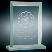 Rectangle Jade Glass Award