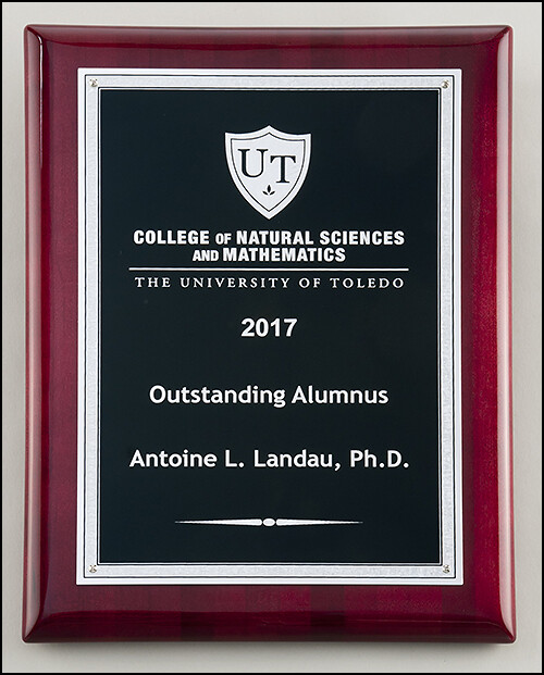 Silver florentine border with textured black center on rosewood piano-finish plaque