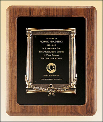 Solid American walnut plaque with an antique bronze casting on choice of velour backgrounds