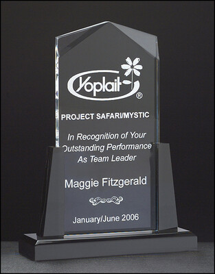 Spire Series clear acrylic upright on black acrylic base