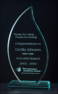 3/4" thick acrylic award on acrylic base