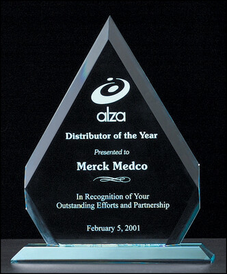 3/4" thick polished acrylic award on acrylic base