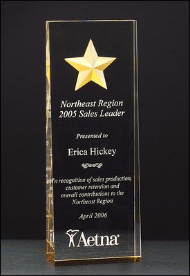 Constellation Series - etched star with gold paint-fill and mirrored bottom