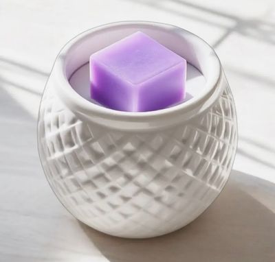 Wax Melts | Spring Summer Scents | Highly Scented Soy Blend Wax Melts