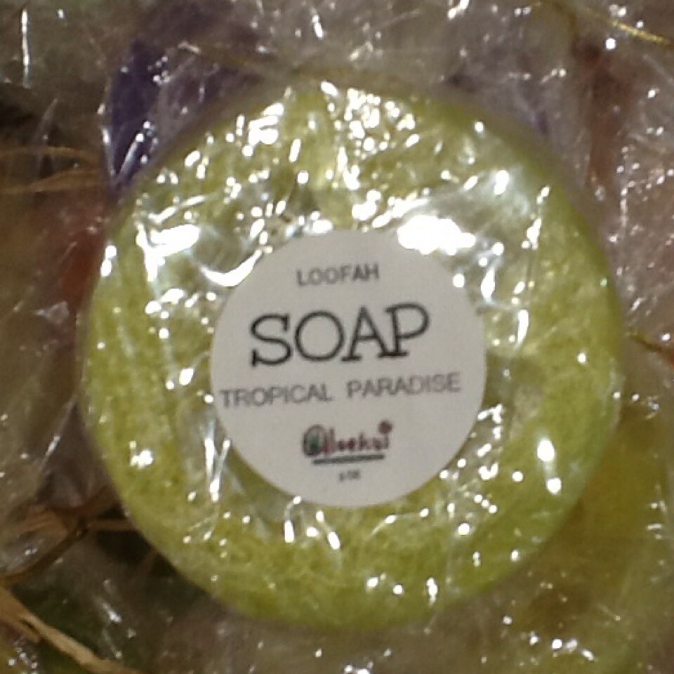LOOFAH SOAP LOOFAH SOAP