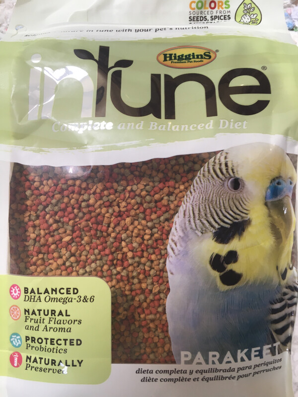 2lb Intune Parakeet