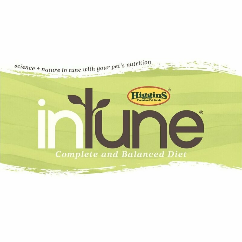 Intune Bird Food