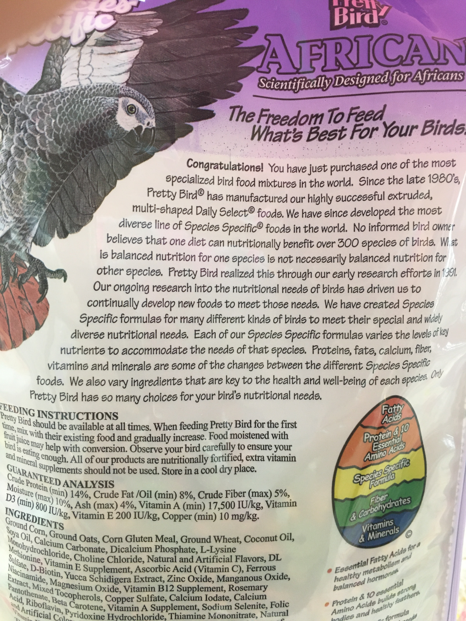 3 Lb African Special Pretty Bird