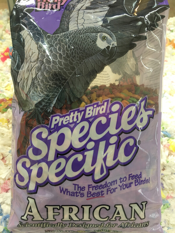 3 Lb African Special Pretty Bird
