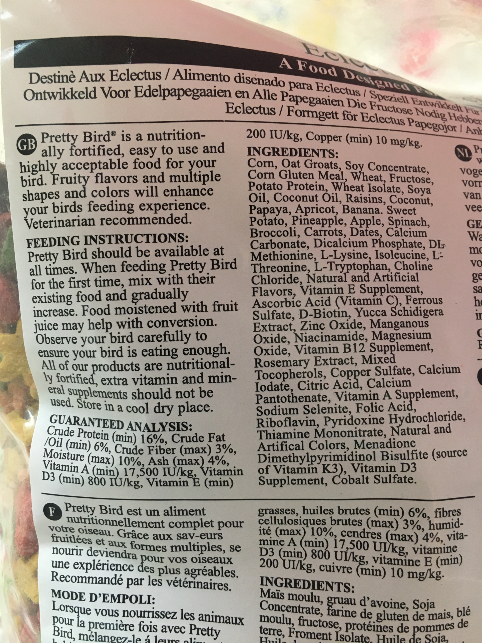 3 Lb Eclectus Special Pretty Bird