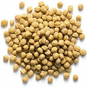 20 lbs Medium Bird Natural Diet