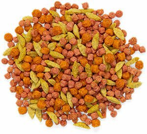 2 lbs Medium Bird PastaBlend