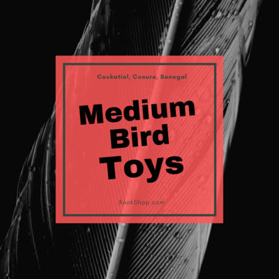 Medium Bird Toys