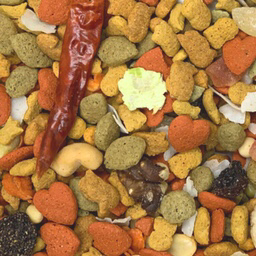 3lb Intune Harmony Macaw