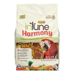 3lb Intune Harmony Macaw