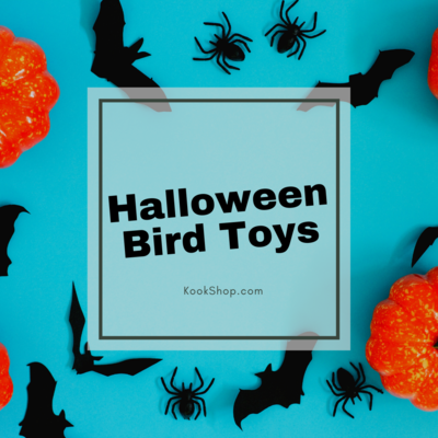 Halloween Bird Toys